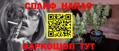 стафф Старая Купавна