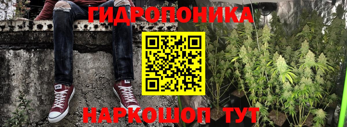 Канабис Bruce Banner  Вход с VPN  Бошки марихуана семена  Орск 
